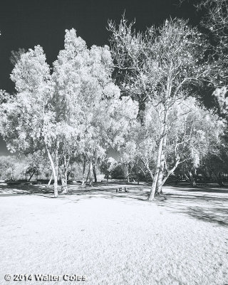 Infrared Library 1-6-14 4.jpg