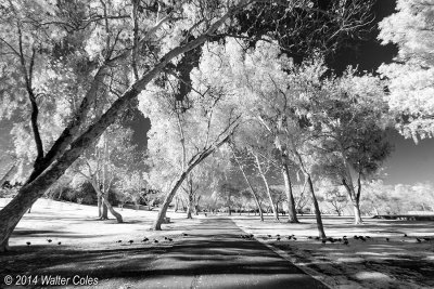 Infrared Library 1-6-14 7.jpg