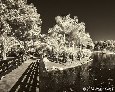 Infrared MS Park-12-31-13 3 Bridge.jpg