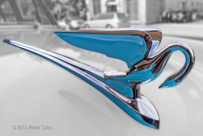 Packards Auburn CA 3-14 (20) 1952 Hood Ornament Blur.jpg