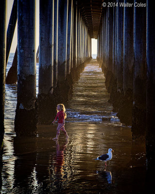 Under pier 1-29-14 2 Girl + Gull C.jpg