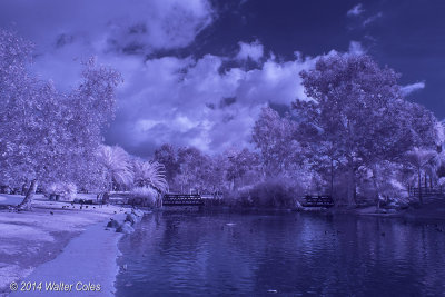 Infrared Photography