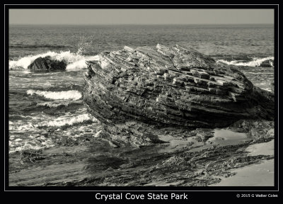 Crystal Cove 2-4-15 1 B+W2.jpg