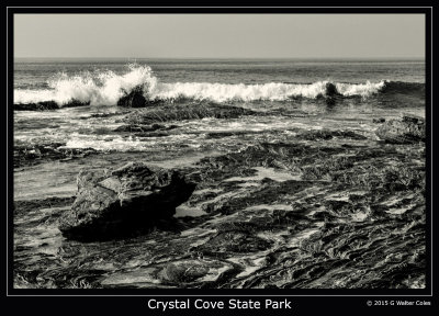 Crystal Cove 2-4-15 (33) B+W2.jpg
