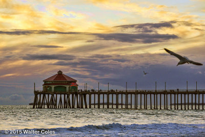 Sunset HB Pier 3-2-15 gulls 1.jpg