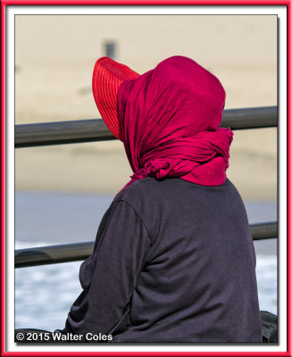 Lady in Red Hat HB Pier 2-9-15.jpg