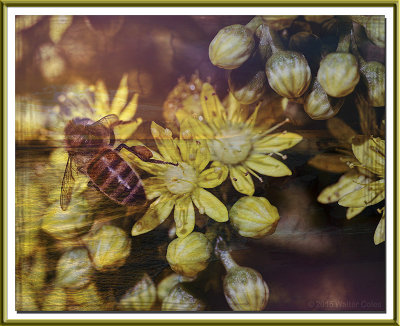 Bees + Yellow Flowers HB (8) TX Dbl F.jpg