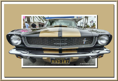 g9/23/658623/3/162160878.Lbm9imN7.jpg
