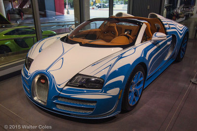 Bugatti 2014 Veyron Grand Sport (1) F.jpg