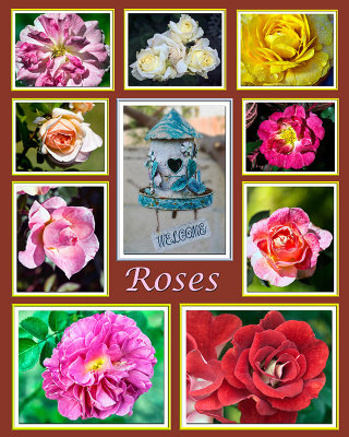 Poster 16X20 Roses Pantone 484C.jpg