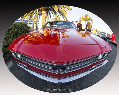 g9/23/658623/3/164483004.CyQ5HUdK.jpg