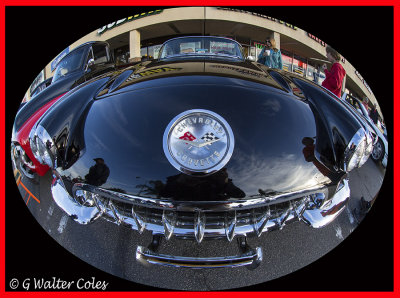 Corvette 1950s G WA DD.jpg