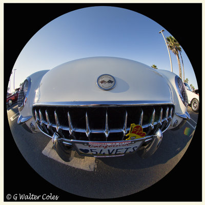 Corvette 1954 White WA Veterans Day 2016 (56).jpg