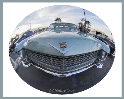 Cadillac 1950s DD WA 11-16 (2).jpg