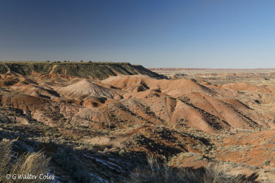 Petrified Forest Painted Desert AZ 2016 (5).jpg