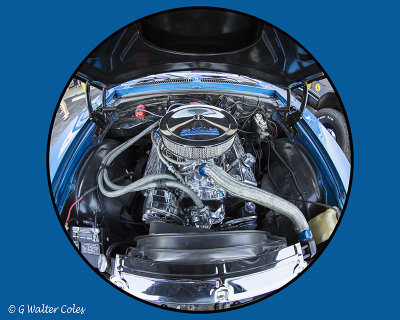 Engine 350 DD 10-21-16 WA.jpg