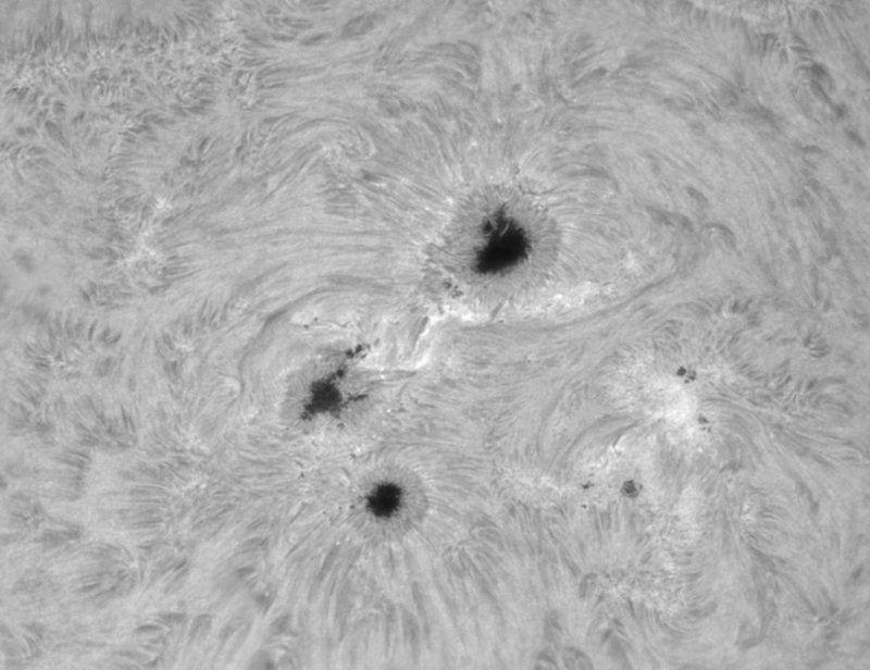 AR11504