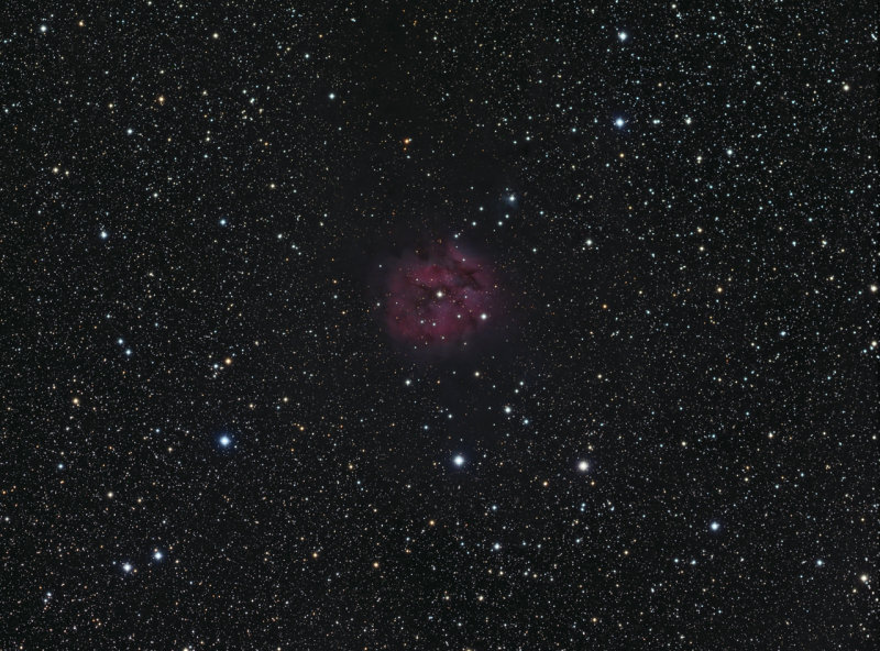 IC5146
