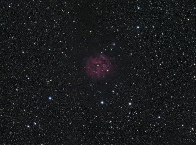 IC5146