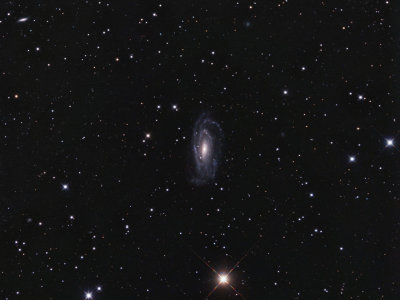 NGC 5033