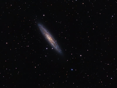 NGC253
