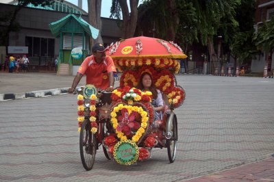Rickshaw tour...