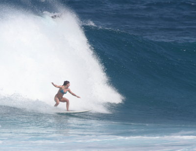 12-7-2013 surfer north shore _7444.JPG