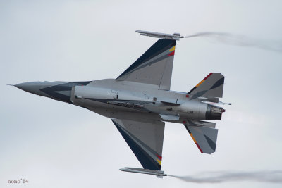 SDNancy-281.1.jpg