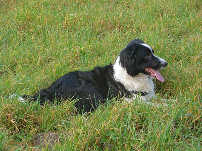 freya008.jpg