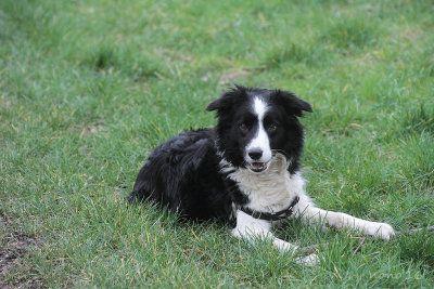 freya017.jpg