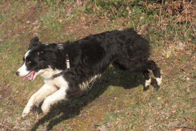 freya022.jpg