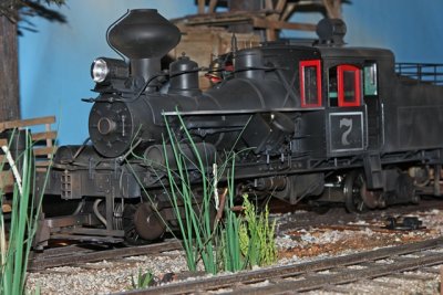 IMG_1973.jpg