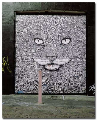 _DSC4665 graffiti- 1.jpg