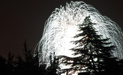 Fireworks behind the trees