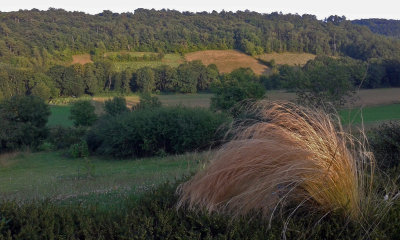 Dordogne's august light