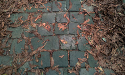 Autumn has started