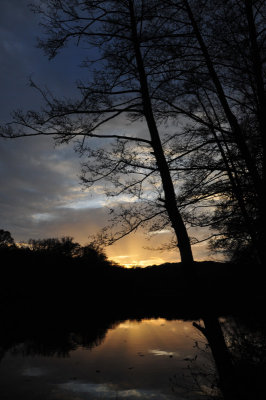Twilight's reflections