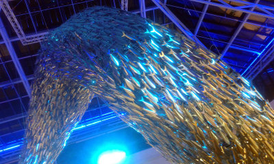 Le Grand Bleu