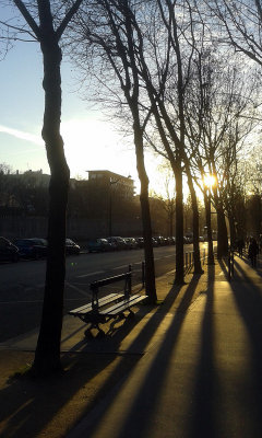 Paris' March morning sunlight 