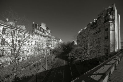 Parisian cityscape