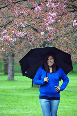 Le jardin sous la pluie