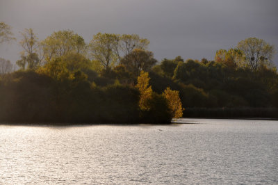 Sunbeam on the lake