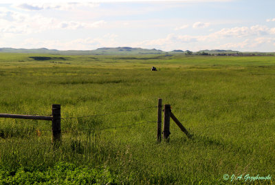 sw. North Dakota prairie