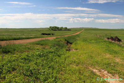 sw. North Dakota prairie