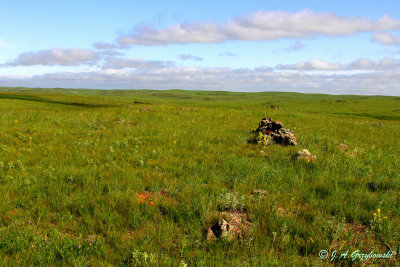 sw. North Dakota prairie