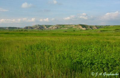 Knife River breaks