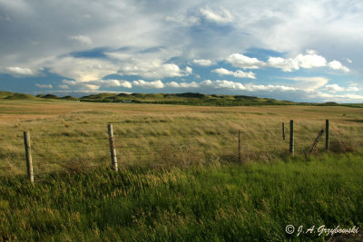 Bowman County, sw ND