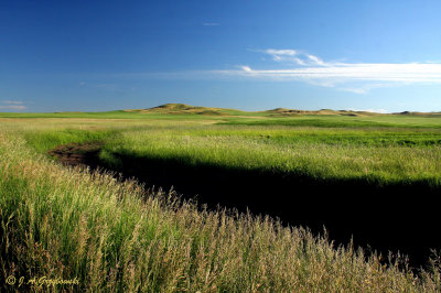 North Dakota prairies