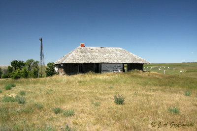 old prairie homestead