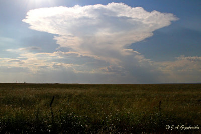 Rising thunderhead on the prairie